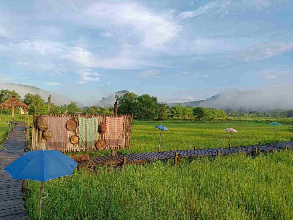 สะพานทุ่งนาน้อยเขาหล่น นครนายก (1)